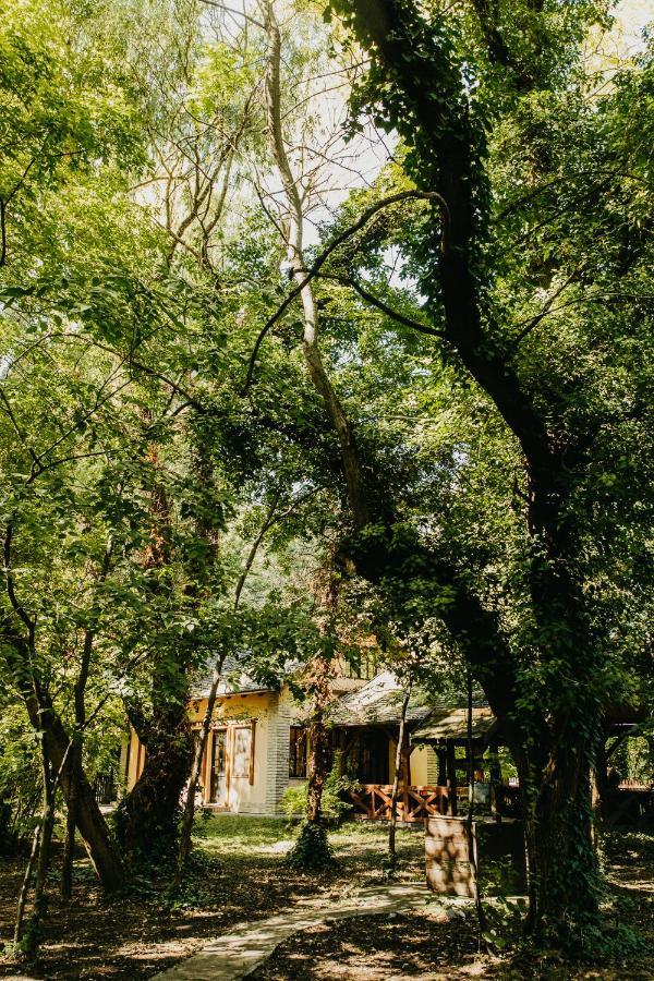 Forest House Palić Exteriör bild