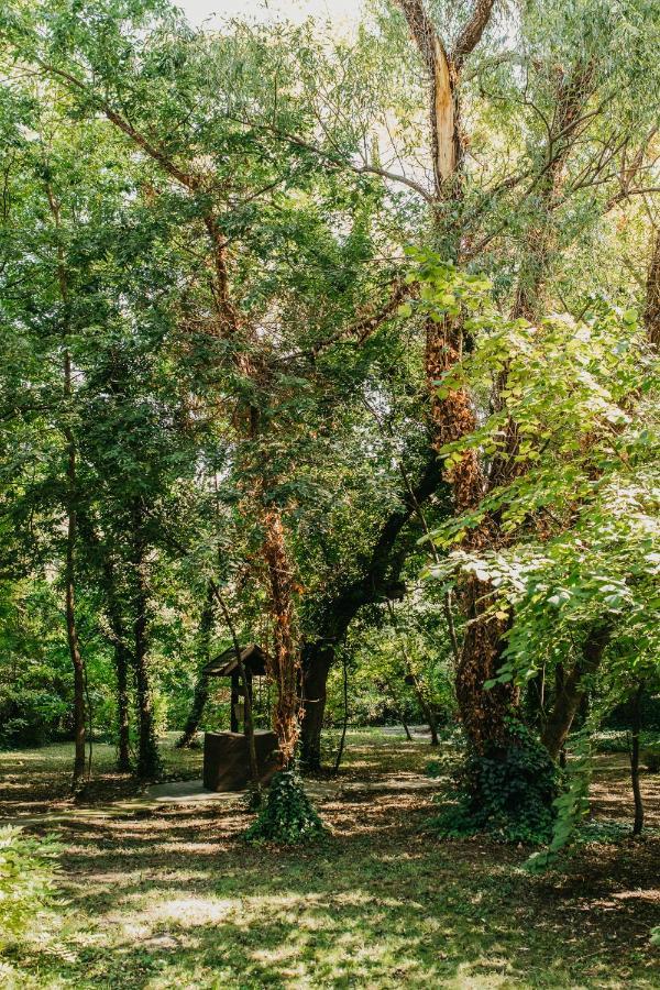Forest House Palić Exteriör bild